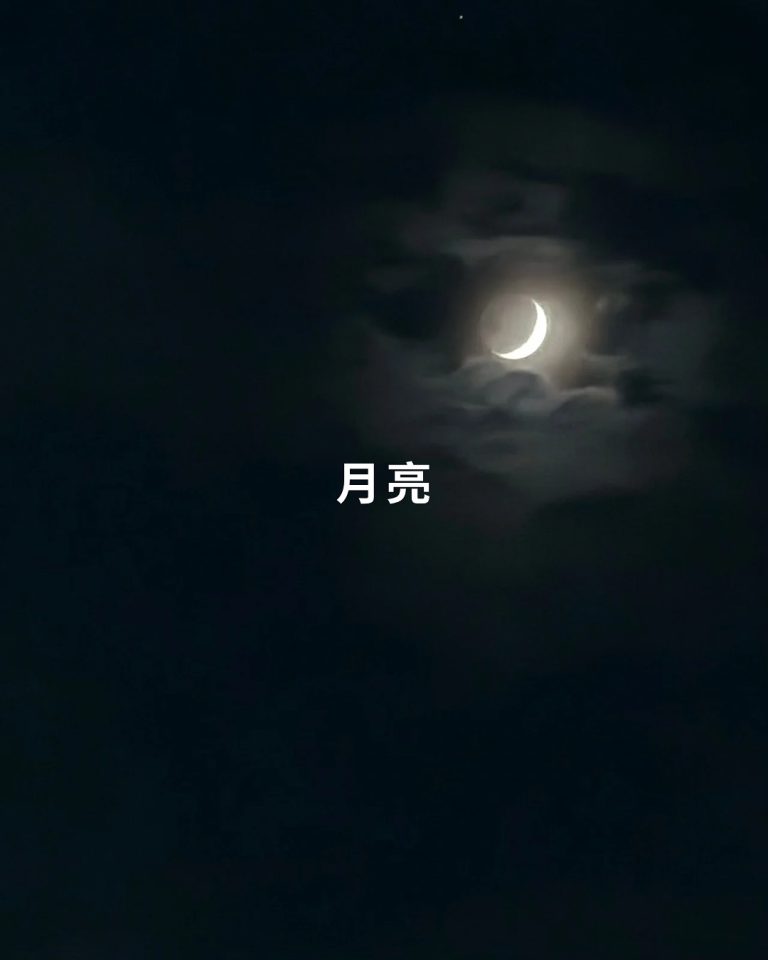 CAB0F0B4-C10D-4603-AC00-907A8A0151D8