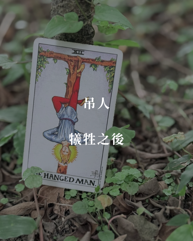 主要 8