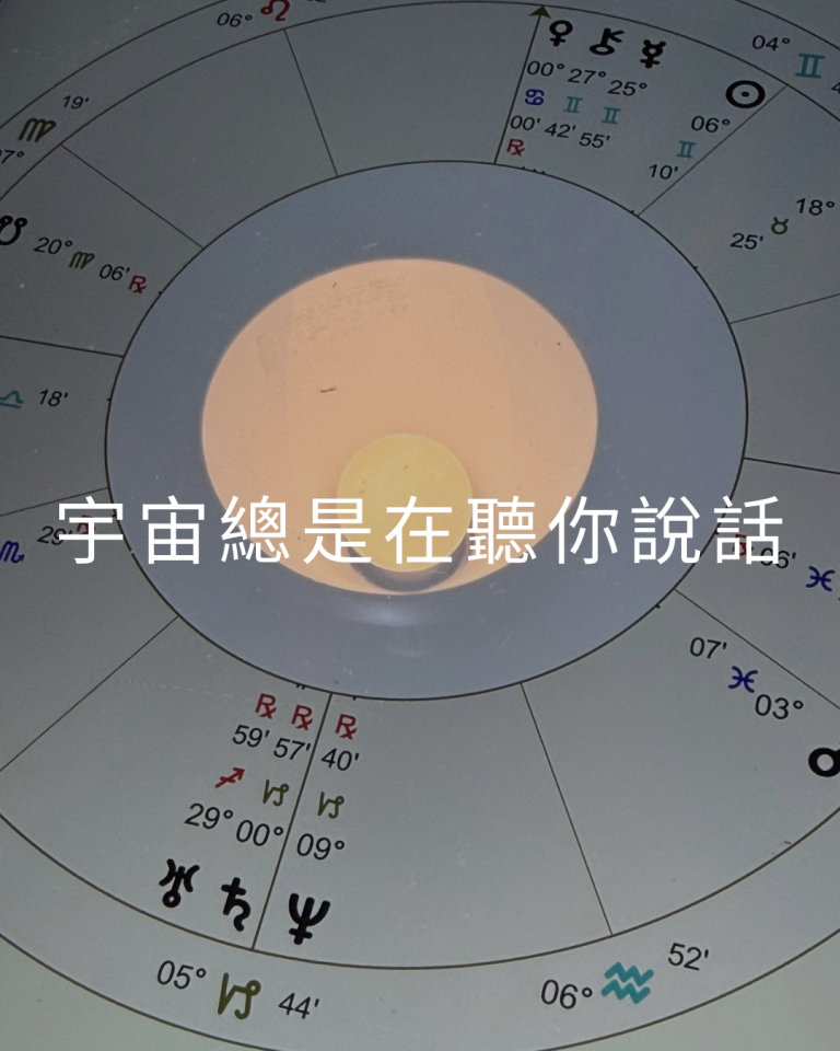 主要 19